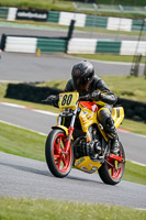 cadwell-no-limits-trackday;cadwell-park;cadwell-park-photographs;cadwell-trackday-photographs;enduro-digital-images;event-digital-images;eventdigitalimages;no-limits-trackdays;peter-wileman-photography;racing-digital-images;trackday-digital-images;trackday-photos